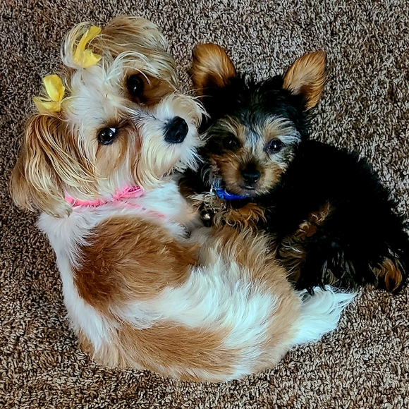 Meet your Posher, Debbie - Picture 8 of 12